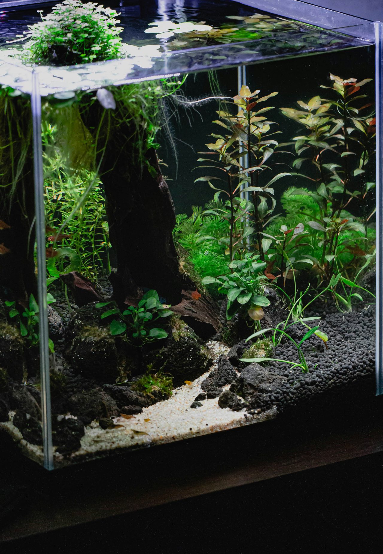 Aquarium filter with rising bubbles