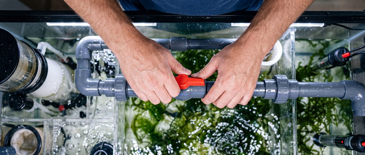 Hands adjusting a valve on aquarium plumbing